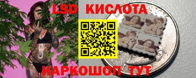 ALPHA-PVP Камышлов