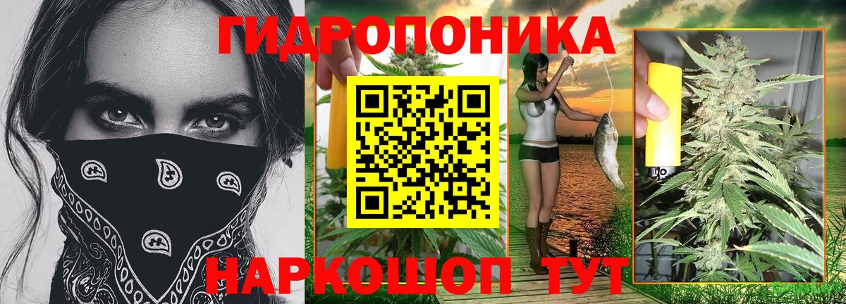 Марихуана OG Kush  Вход с VPN  Курчатов  Марихуана Bruce Banner 